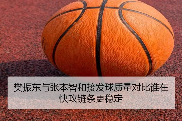 樊振东与张本智和接发球质量对比谁在快攻链条更稳定